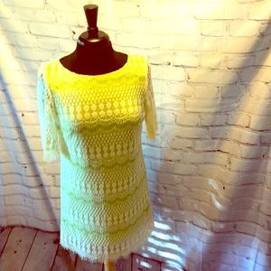 J. Howard Lime Green Cream Lace Overlay Sleeve Dress Size 10